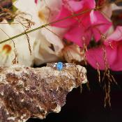 Bague argent femme avec zircons pierre bleue  - LOUISE